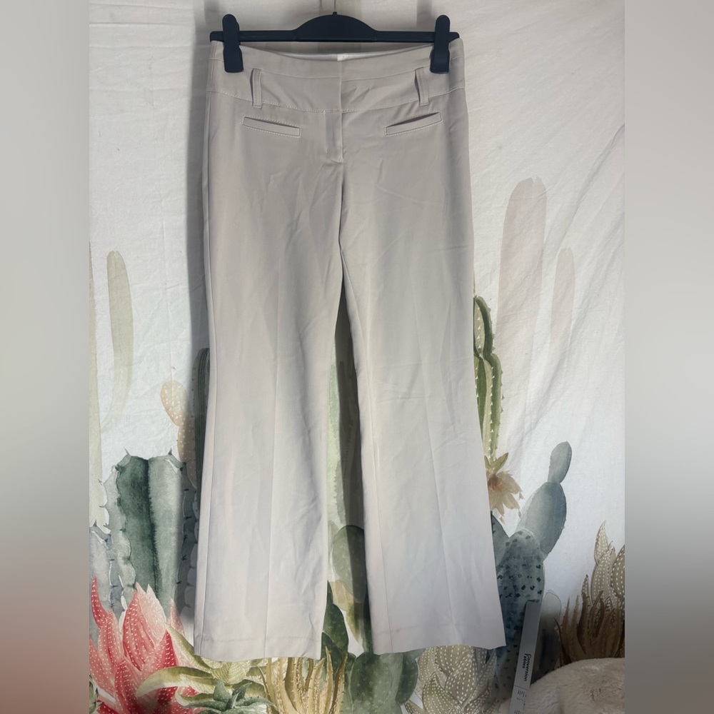 Express Editor Pants 🌵2L